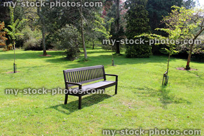 Stock image of wooden bench in garden, on green lawn