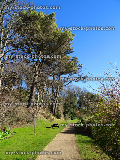 Stock image of pathway through public park with wooden picnic tables