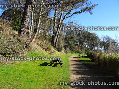 Stock image of coastal park with wooden picnic tables on grass