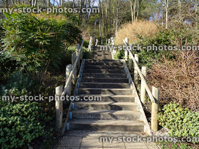 Stock image of concrete stairs / staircase in park, log fencing pole bannister