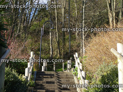 Stock image of park gardens with winter trees and concrete stairs