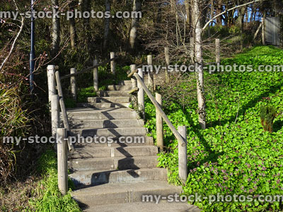 Stock image of winter park with wood and concrete stairs / steps