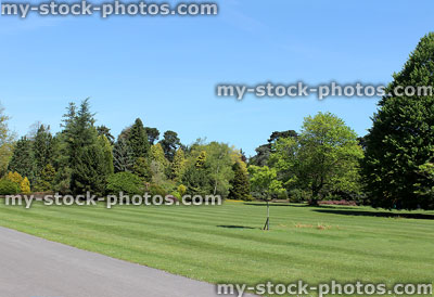 Stock image of park in summer, with large lawn and trees