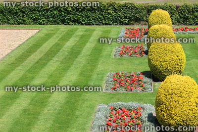 Stock image of park with grass green, lawn stripes, flower beds
