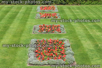 Stock image of green lawn stripes in park, begonia flower beds