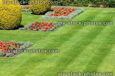 Stock image of mown lawn strips, green grass, flowers, topiary yew trees