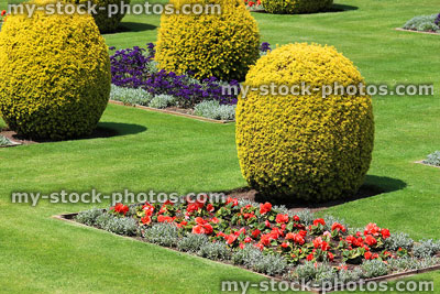 Stock image of lawn stripes on park lawn with green grass