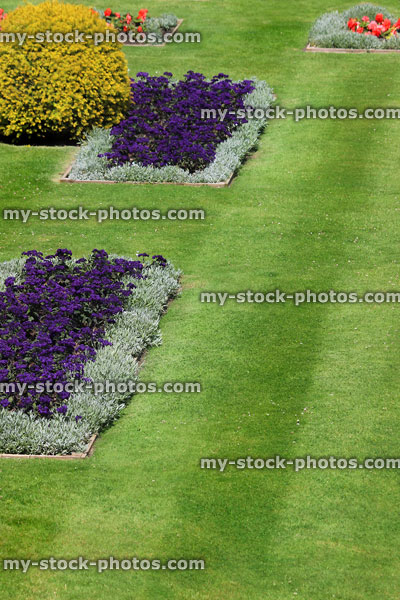 Stock image of red and purple annual flowers planted in striped lawn
