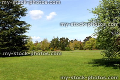 Stock image of park in the summer, with lawn and trees