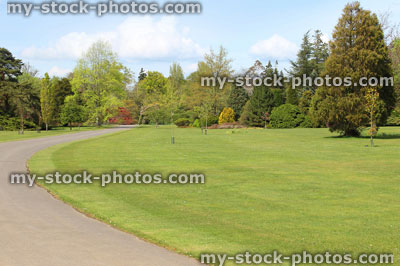 Stock image of summer park, with mature trees, grass and pathway
