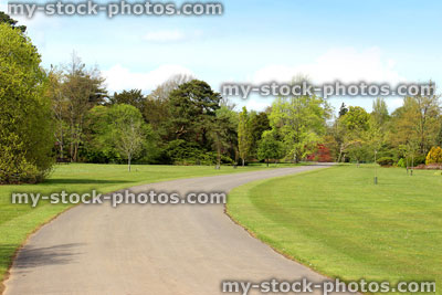 Stock image of summer park, with mature trees, grass and path