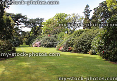 Stock image of park with pine trees, cedars and other conifers