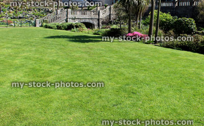 Stock image of beautiful lawn grass, growing in gardens with flowers