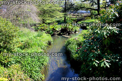 Stock image of stream leading to pond in garden, with trees