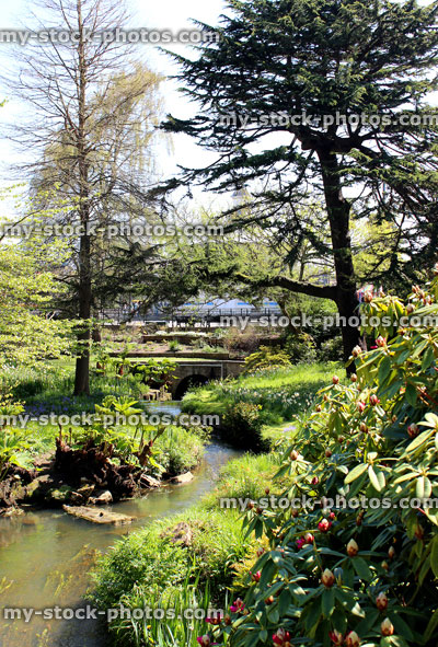 Stock image of stream leading to pond in landscaped garden, trees