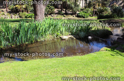 Stock image of stream leading to pond in garden, with lawn