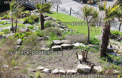 Stock image of rockery (rock garden) with palm trees and pathway