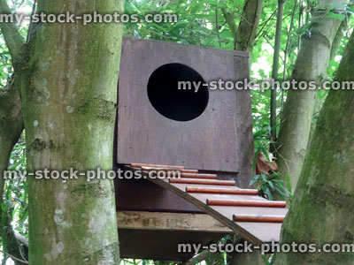 Stock image of large parrot nestbox in tree with bird ladder