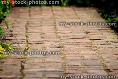 Stock image of old red brick pathway / block paved garden path