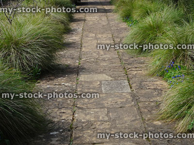 Stock image of paving slab / flagstone pathway edged by ornamental grasses