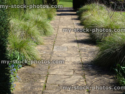 Stock image of flagstone pathway in garden with ornamental grasses / flowers