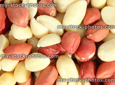 Stock image of redskin peanuts / peanut kernels, healthy snack food, Omega 3