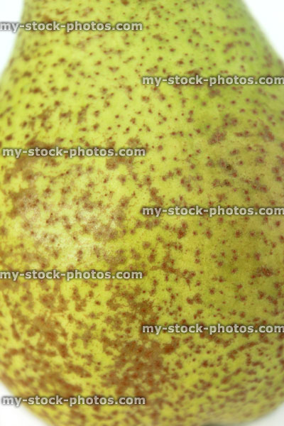 Stock image of brown and green Conference pear skin close up pattern