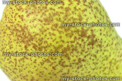 Stock image of green Conference pear skin close up, showing pattern