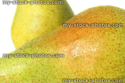 Stock image of two green pears close up, showing patterned skin (pyrus communis)