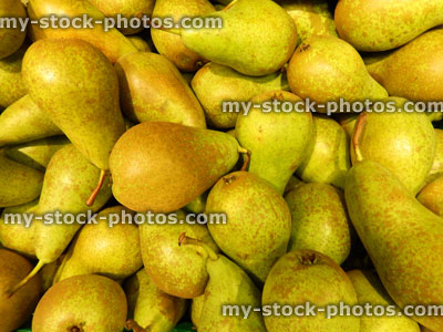 Stock image of pile of ripe organic conference pears in supermarket crate, Pyrus communis