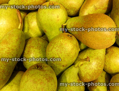 Stock image of pile of ripe organic conference pears in supermarket crate, Pyrus communis