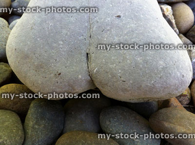 Stock image of amusing shaped stone like person's bottom / bum / rear
