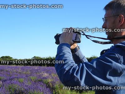 Stock image of man taking photos of purple lavender farm field
