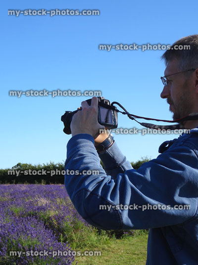 Stock image of man with SLR camera taking photos of lavender plants