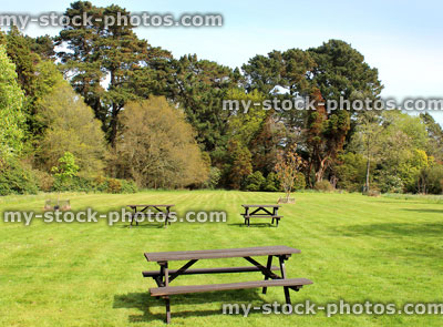 Stock image of wooden picnic tables in park setting, with trees