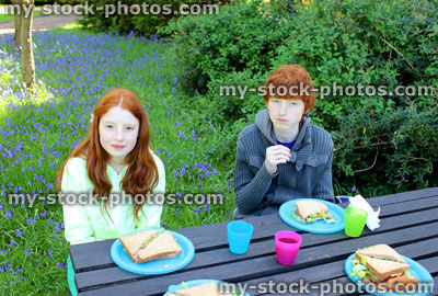 Stock image of boy and girl enjoying a picnic in gardens