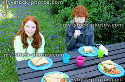 Stock image of family, boy and girl enjoying a healthy picnic in gardens