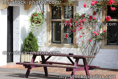 Stock image of wooden picnic table outside house with pink climbing rose flowers