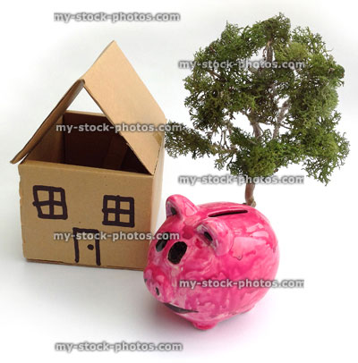Stock image of pink piggy bank, tree and card dolls house