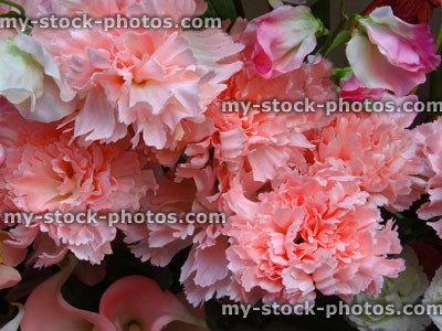Stock image of plastic / silk pink carnations, artificial dianthus / carnation flowers, floral display