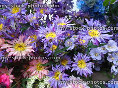 Stock image of plastic / silk purple, pink, blue daisies / artificial aster daisy flowers