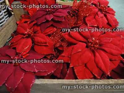 Stock image of artificial poinsettia flowers with glitter, plastic / silk red Christmas poinsettia