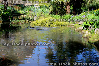 Stock image of garden fish pond with fountain and planting 