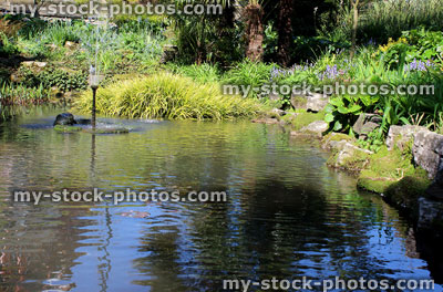 Stock image of garden fish pond with fountain and planting 