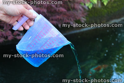 Stock image of koi pond being treated with fish medication, malachite / formalin