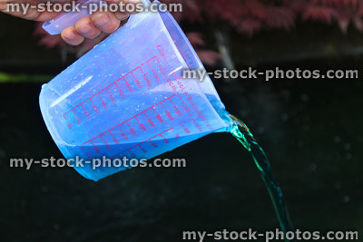 Stock image of koi pond being medicated with malachite / formalin medication