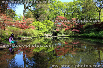 Stock image of colourful pond reflections of maples, landscaped Japanese garden