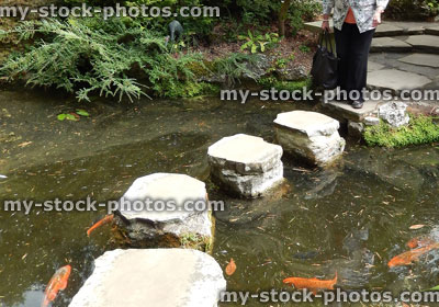 Stock image of Japanese koi pond with stepping stones, oriental garden