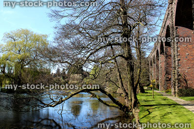 Stock image of natural landscaped garden with pond and trees