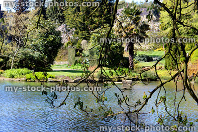 Stock image of photo of garden pond with overhanging horse chestnut tree branch